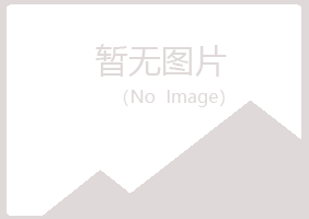 池州夏槐金融有限公司